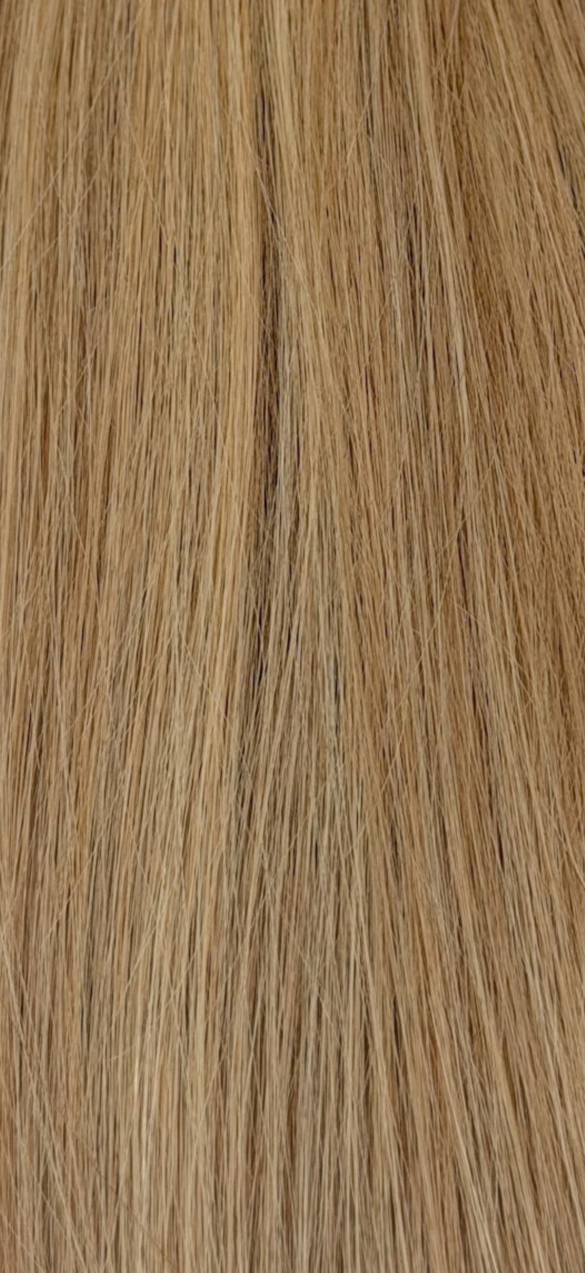 Blonde Roast, a close look at the color
