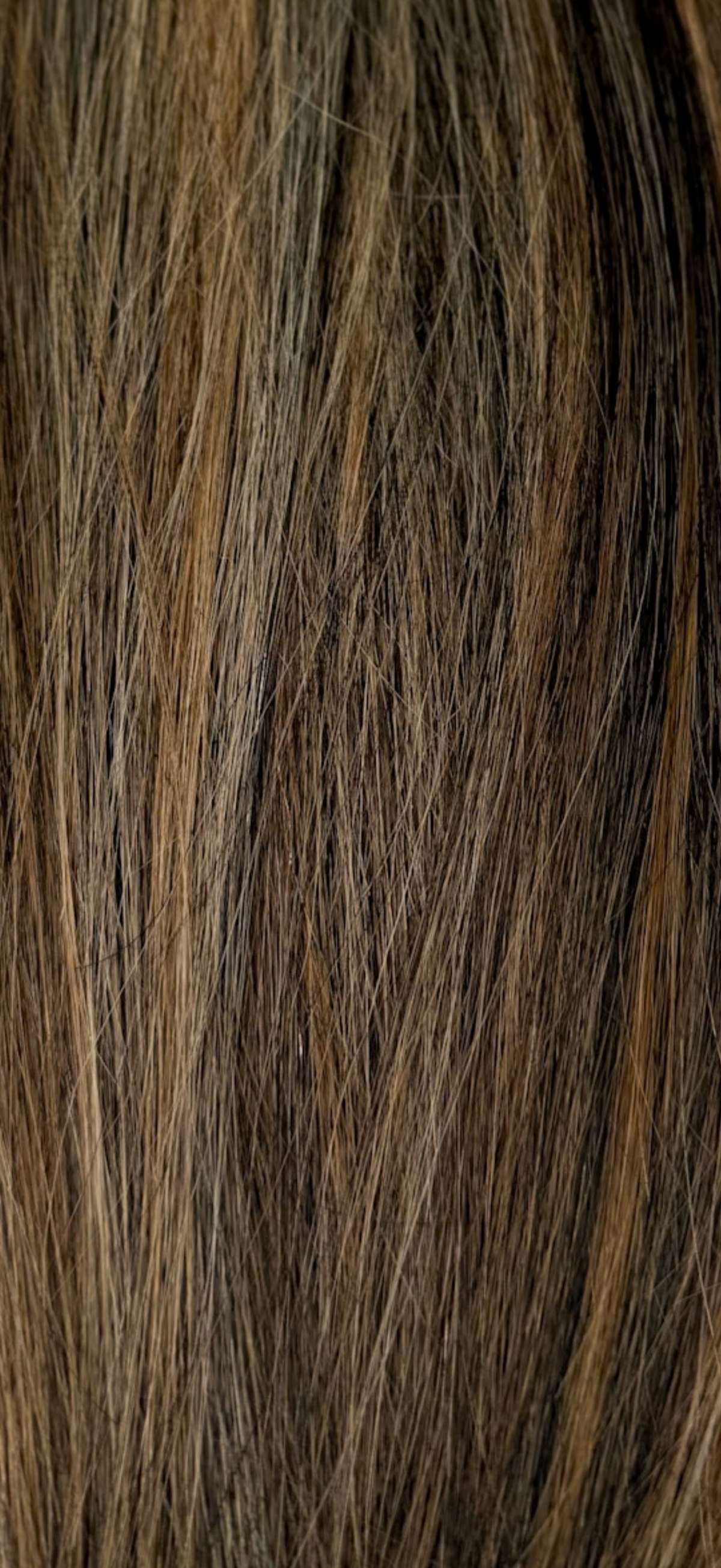 Mochaccino, a close look at the color